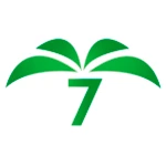 logo Elche 7 TV HD