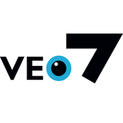 logo veo 7